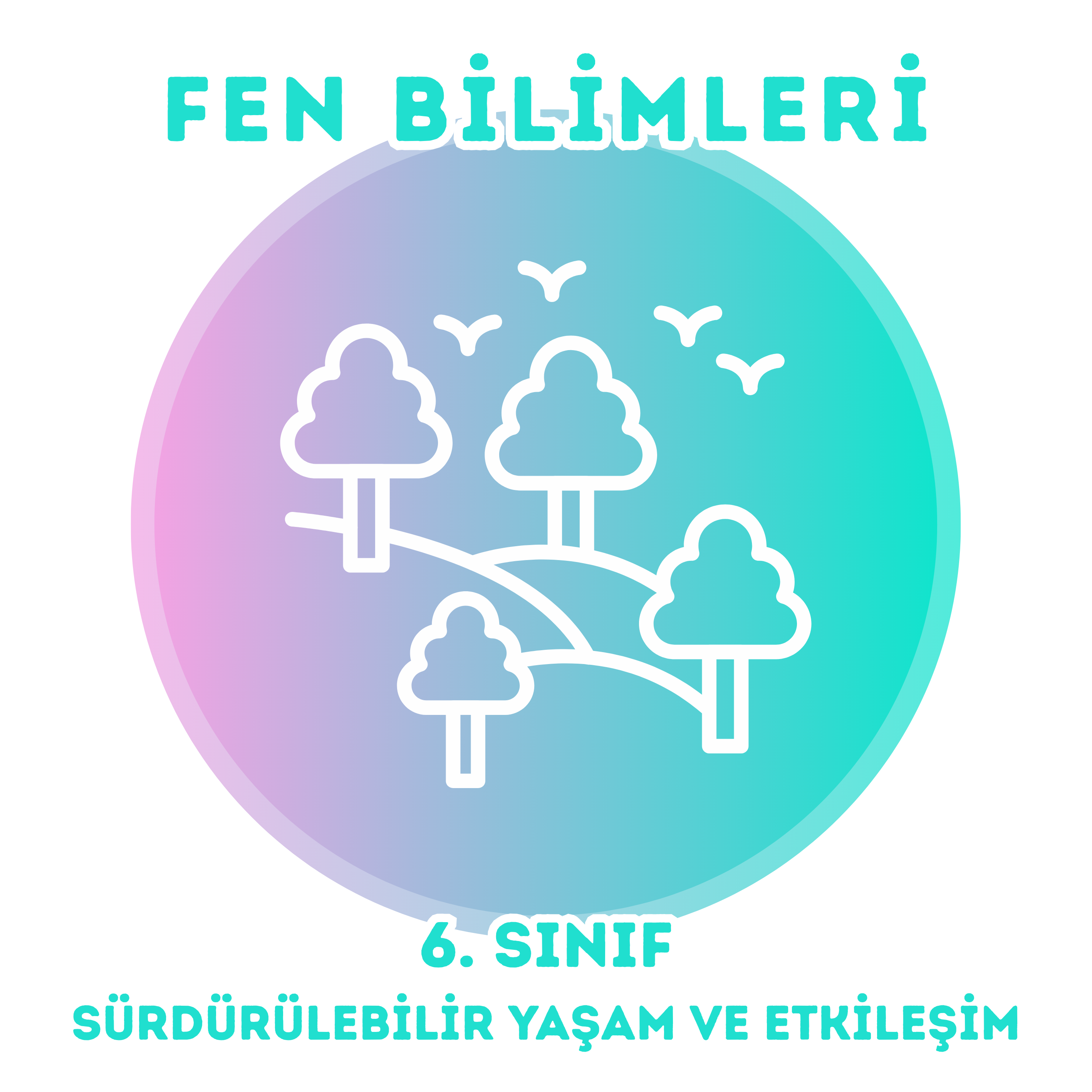 Sürdürülebilir Yaşam ve Etkileşim