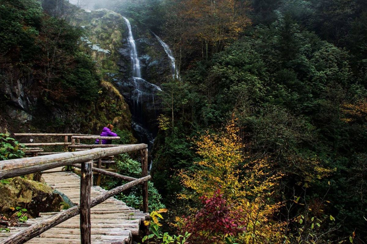 Arapdüzü Şelalesi Ve Yürüyüş Parkuru
