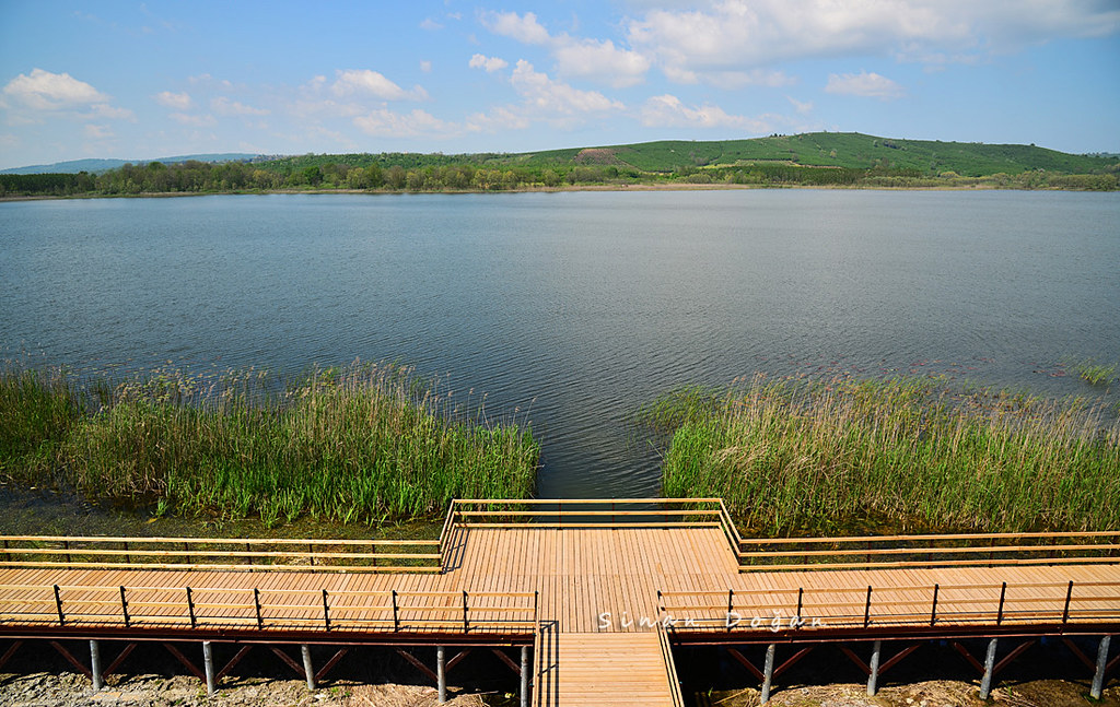 Büyük Akgöl ve Kuş Gözlem Kulesi