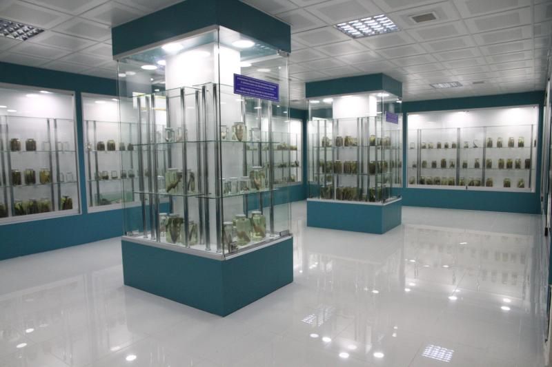 Denizcilik Ve Su Ürünleri Müzesi