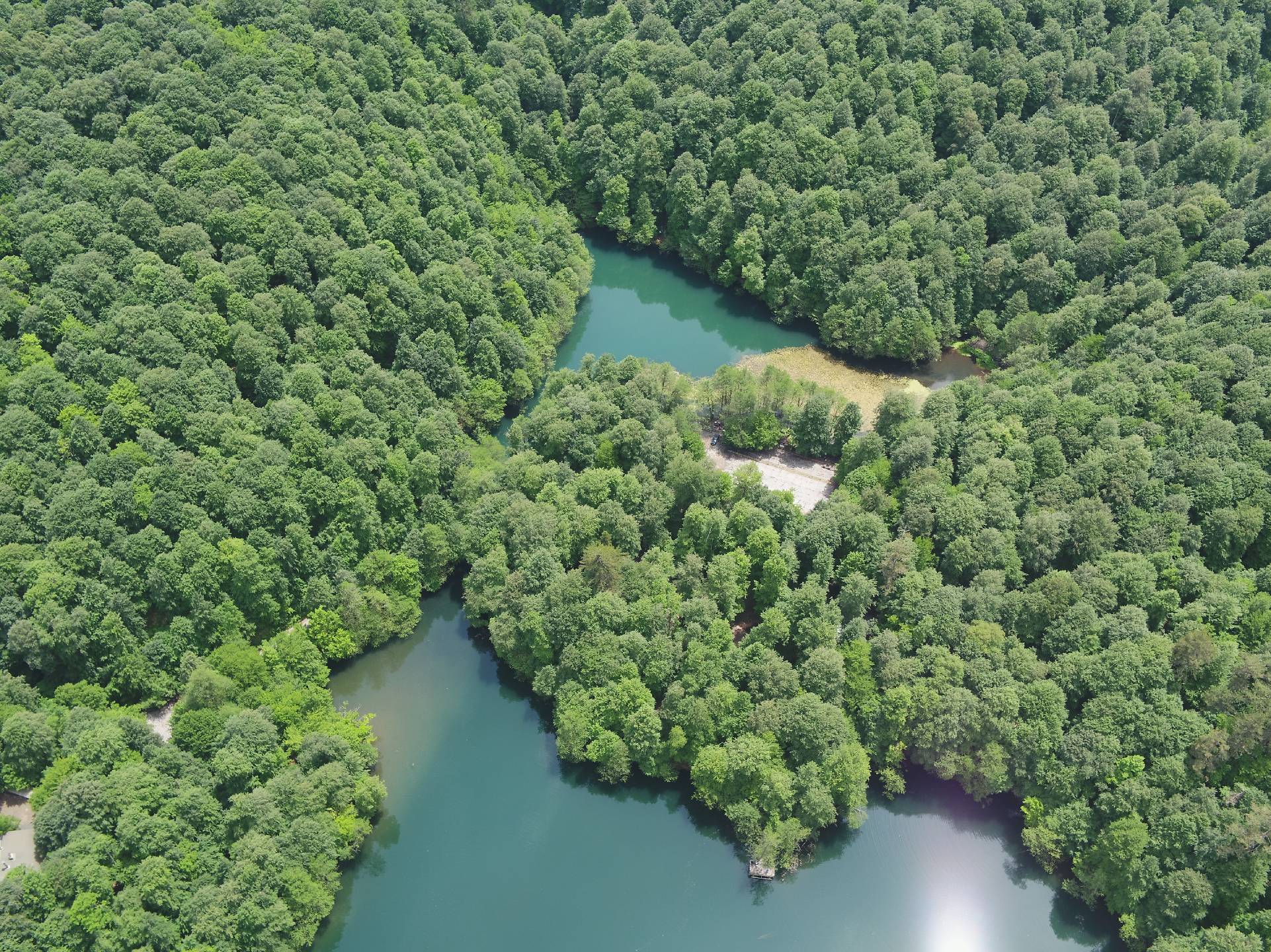 Bolu Yedigöller Milli Parkı