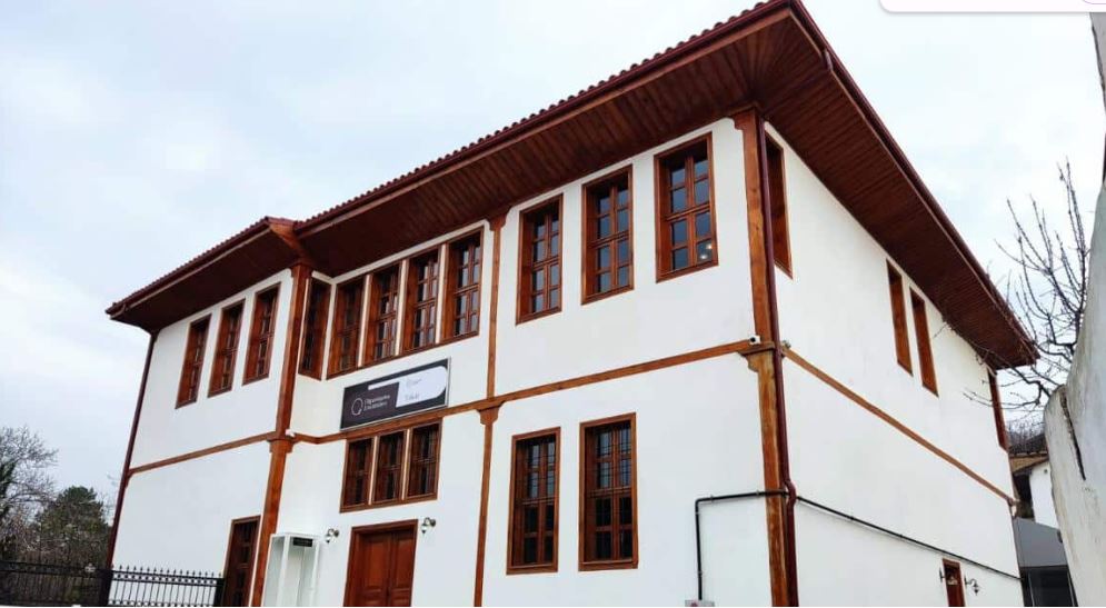 Olgunlaşma Enstitüsü