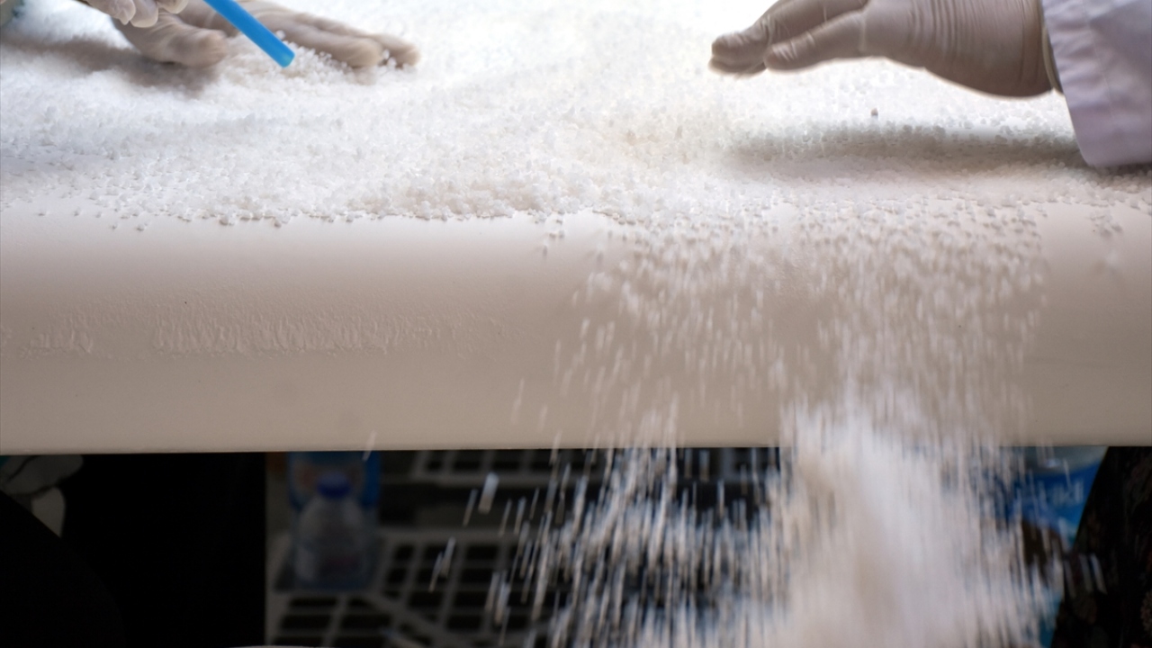 Delice Kaynak Tuzu (Mayi Tuz) Üretim Tesisi