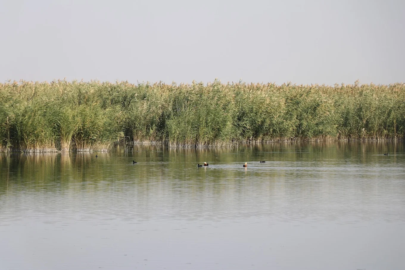 Ağrı Dağı Milli Parkı( Bulakbaşı Milli Parkı)