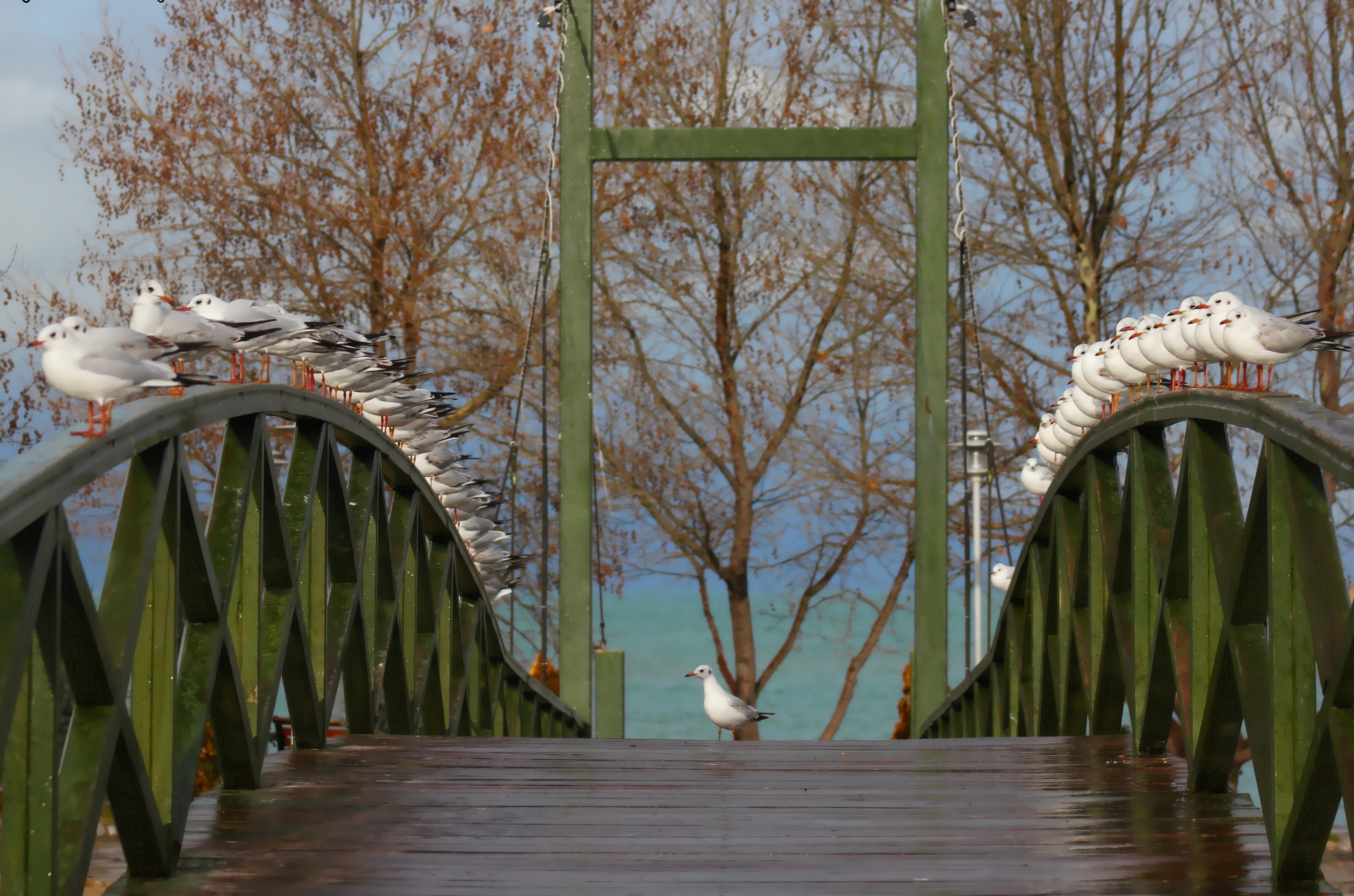 Beyşehir Gölü Millî Parkı