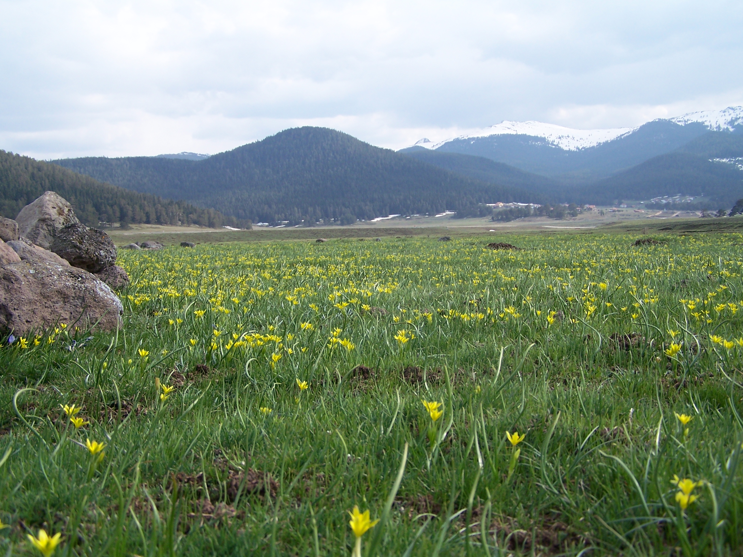 Bolu  Aladağlar Orman İşletme Müdürlüğü ve Yaylalarımız