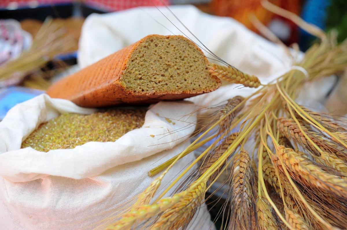 Endemik Bitki Bahçeleri ve Karakılçık Buğday Tarlaları