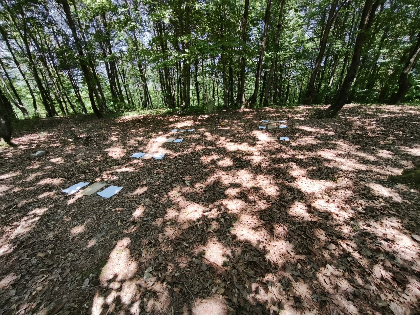 Kızılcık Tepe Orman Park