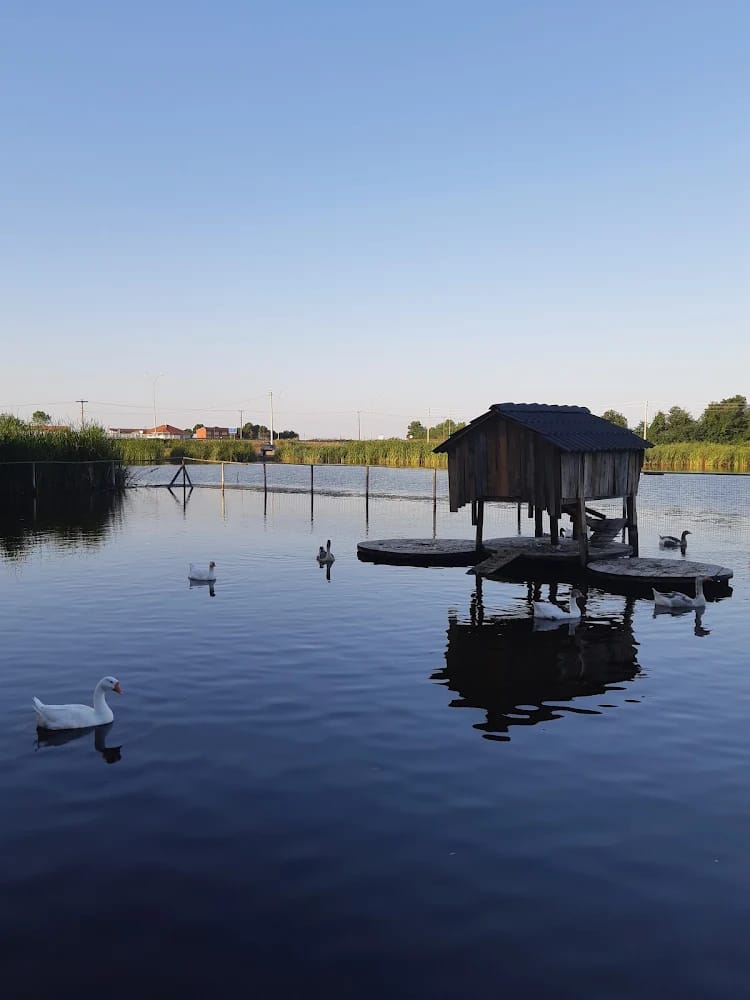 Karasu Küçükboğaz Göleti