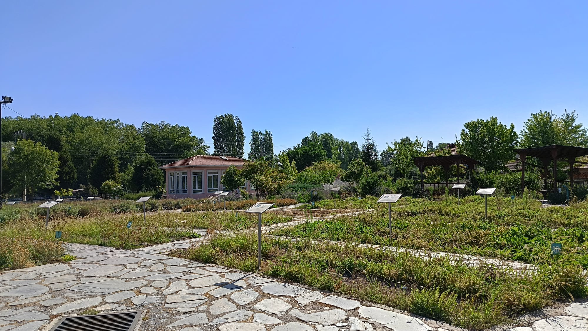 Hekim Sinan Tıbbi ve Aromatik Bitkiler Araştırma Merkezi