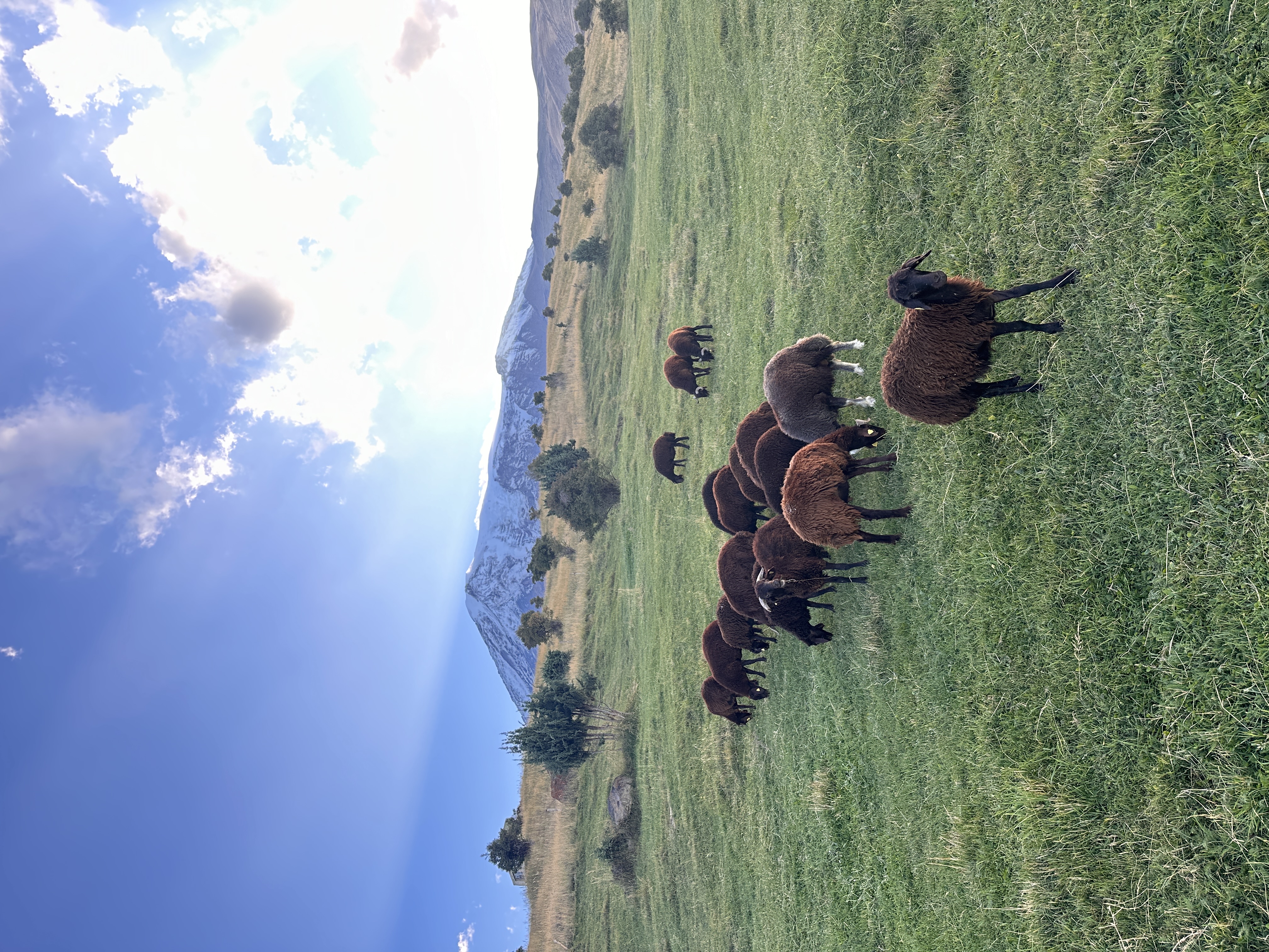 Iğdır Ahura Vadisi