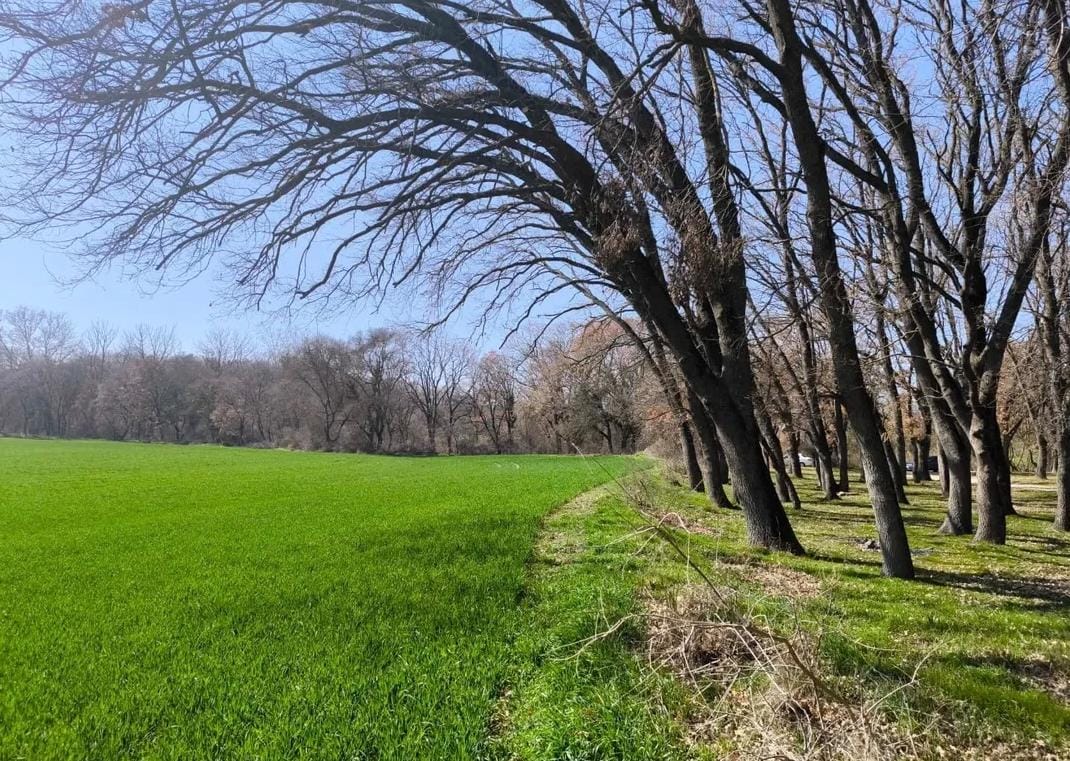 Hayrabolu Örey Korusu