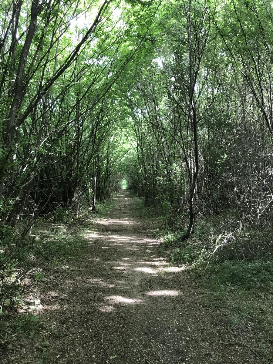 Güneşkaya Piknik Alanı