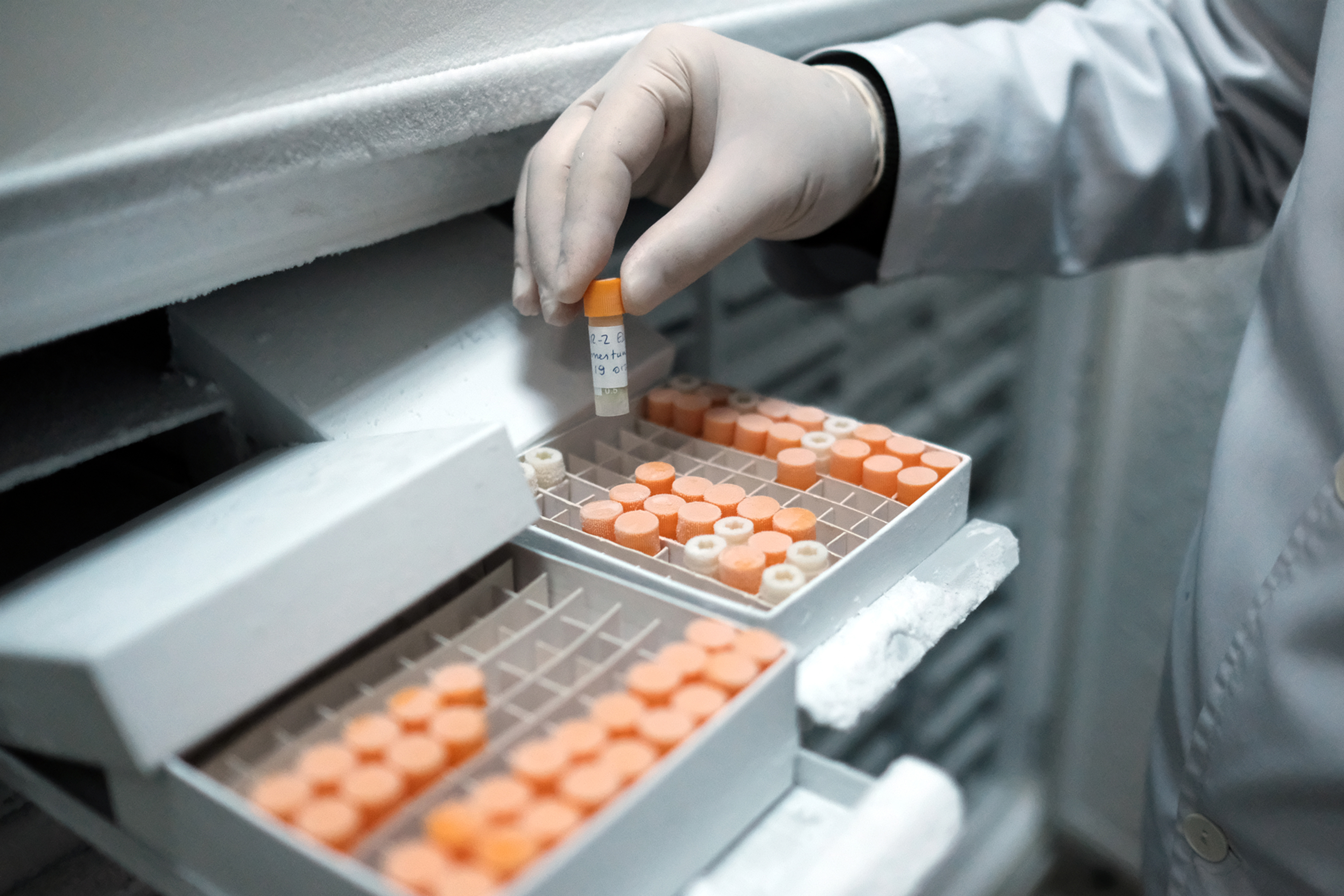 Süt Ürünleri Gen Bankası