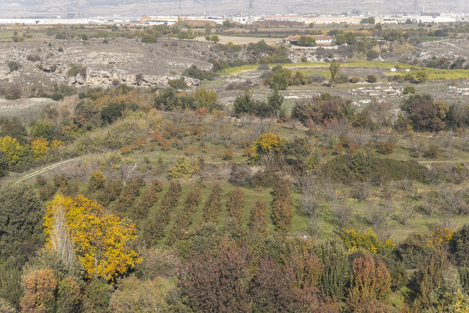 Colossea Antik Kenti