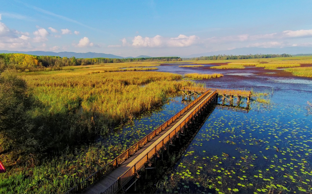 Efteni Seyir Terası
