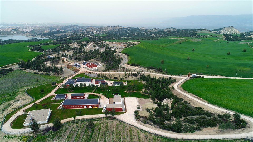 Denizli Büyükşehir Belediyesi Sokak Hayvanları Barınma  Rehabilitasyon ve Doğal Yaşam Parkı