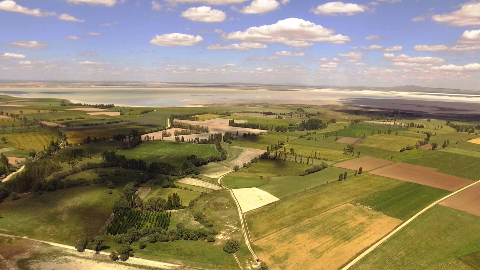 Seyfe Gölü Kuş Cenneti