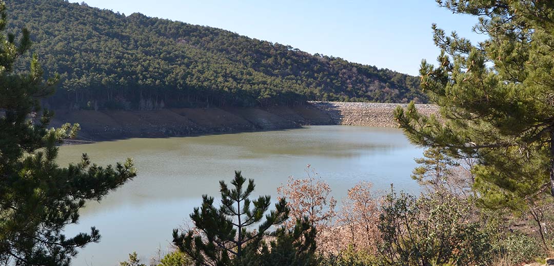 Kestel Gölü ve Ormanlığı