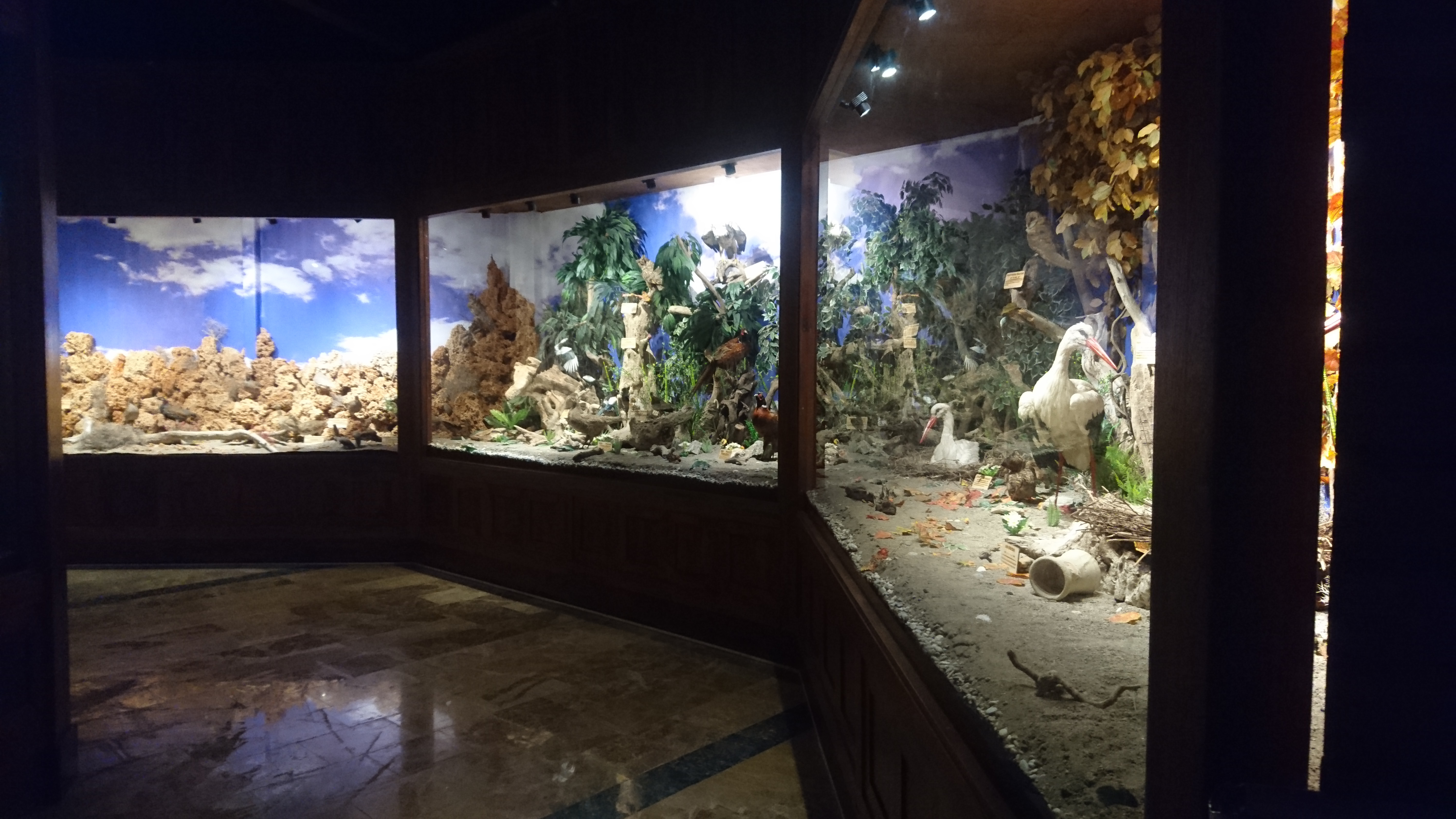 Eski Karaağaç Kuş Tahnit Salonu