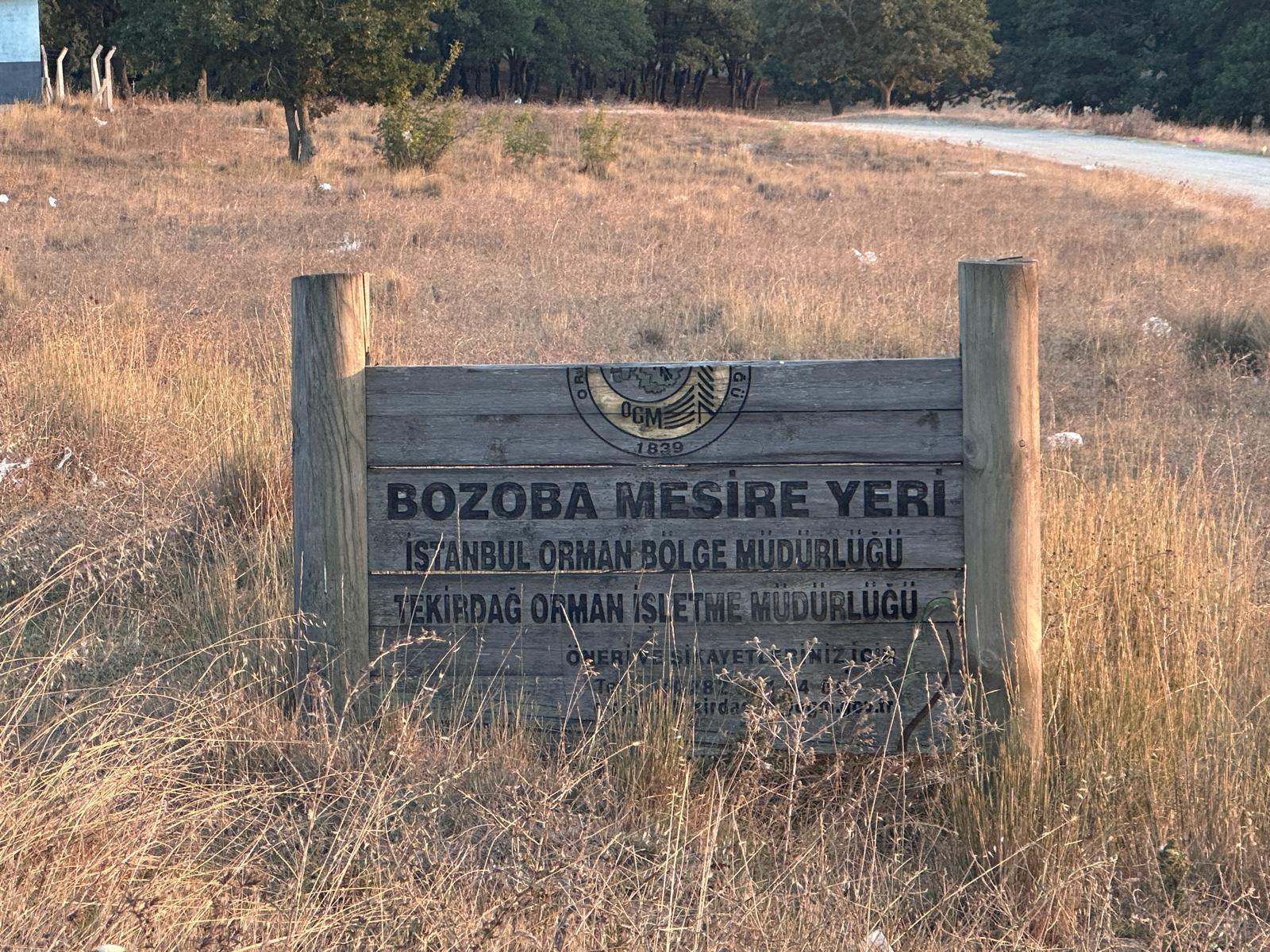 Saray Bozaba Mesire Alanı