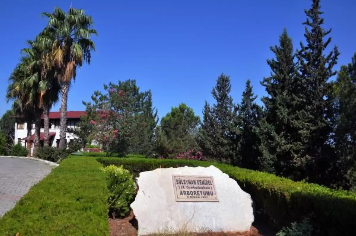 Çukurova Süleyman Demirel Arboretumu