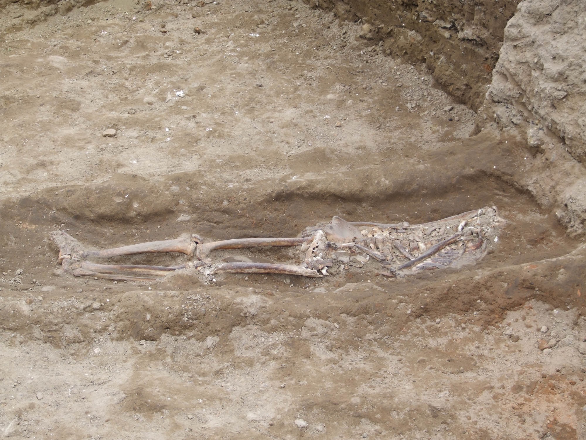 Bafra İkiztepe Höyüğü