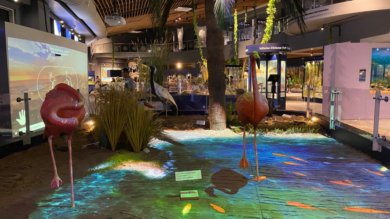 Çukurova Biyoçeşitlilik Tanıtım Merkezi