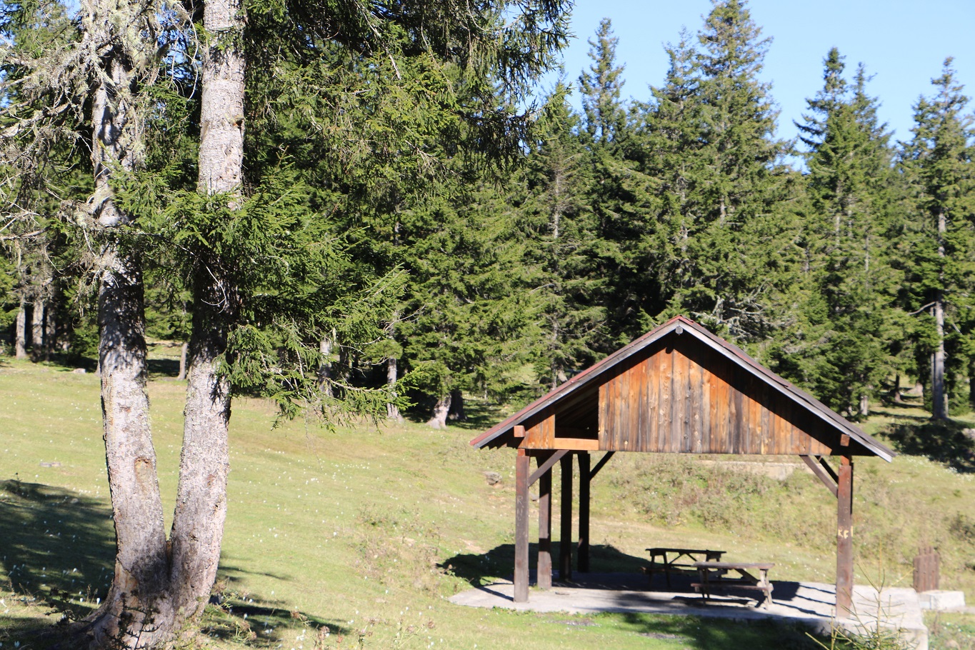 Düzköy Haçka Obası Yaylası