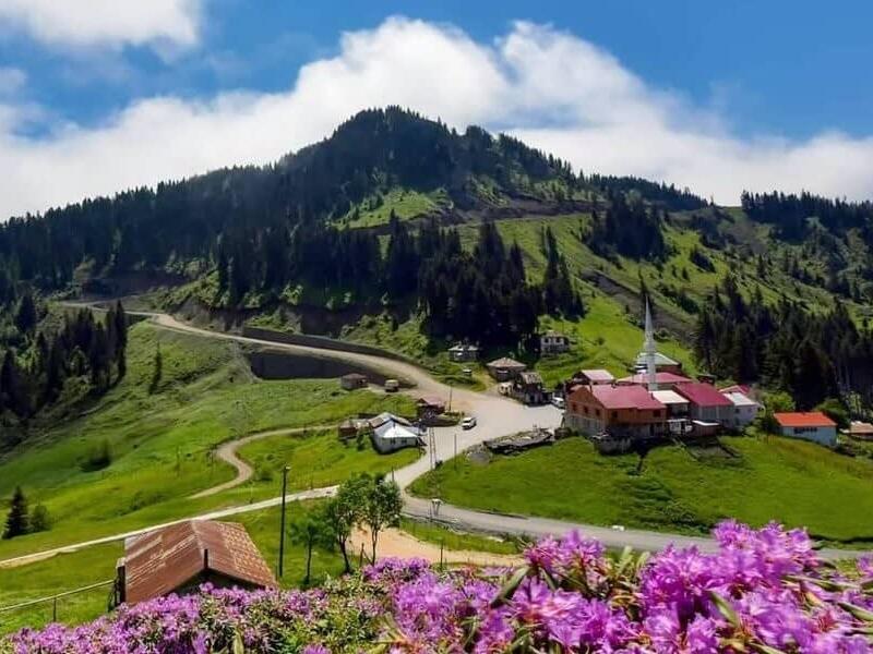 Tonya Erikbeli Yaylası