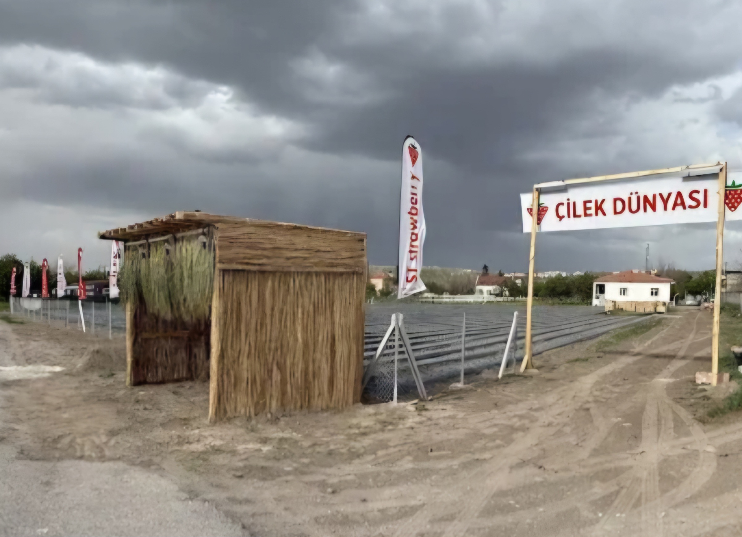 Çilek Dünyası Çilek Bahçesi