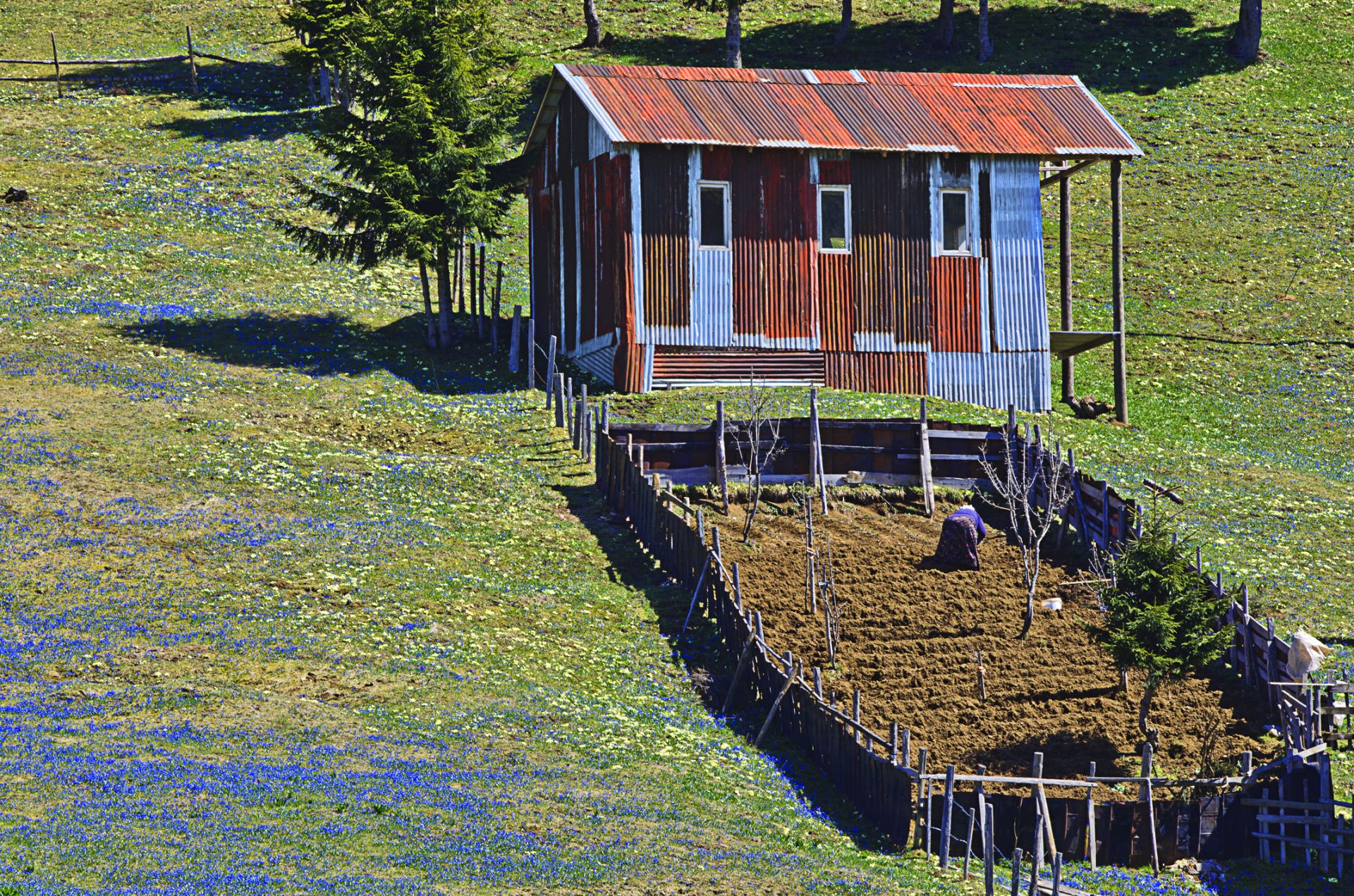 Kadıralak Yaylası Doğal Sit Alanı