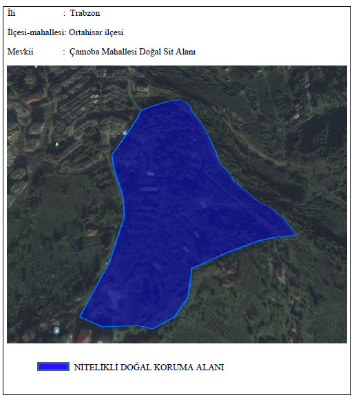 Çamoba Mahallesi Doğal Sit Alanı
