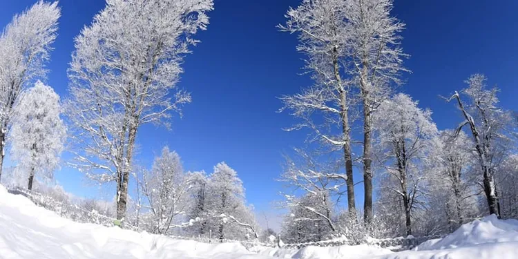 Gölcük Eriklitepe Tabiat Parkı
