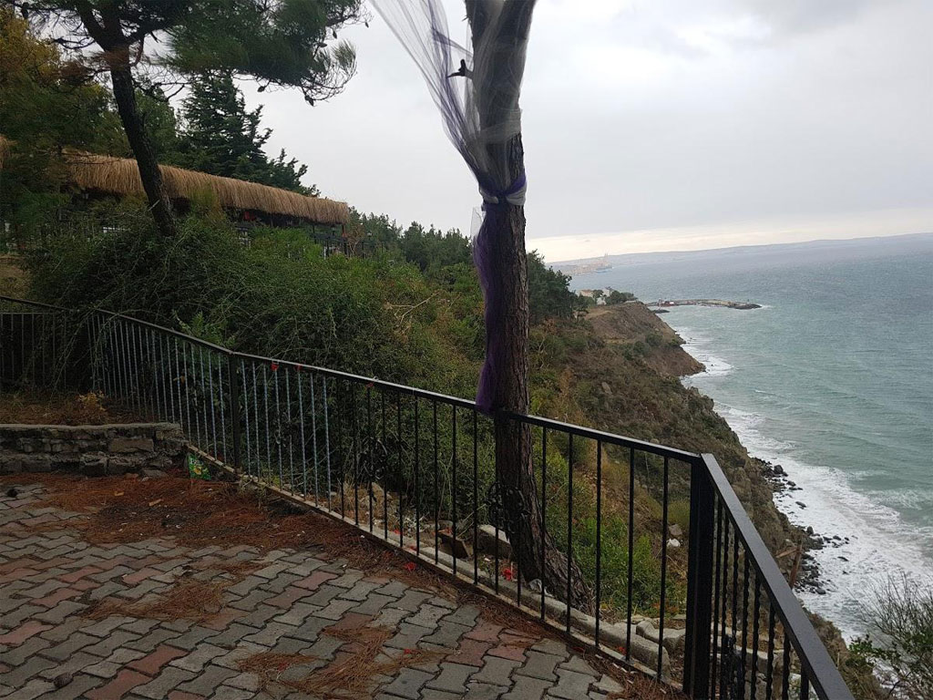 Süleymanpaşa Kumbağ Çamlık Mesire Alanı