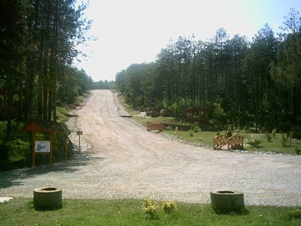 Kocaeli Kent Ormanı