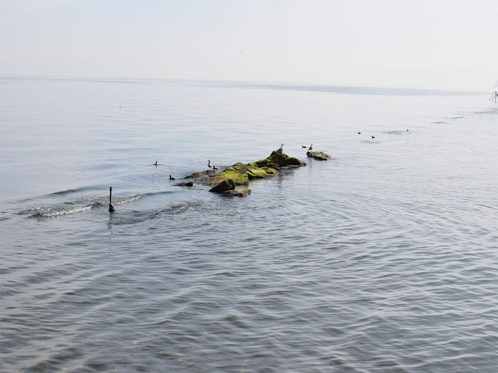 Süleymanpaşa Barbaros Kral Yolu