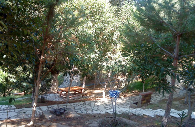 Hacı Salih Bayırı Piknik Alanı