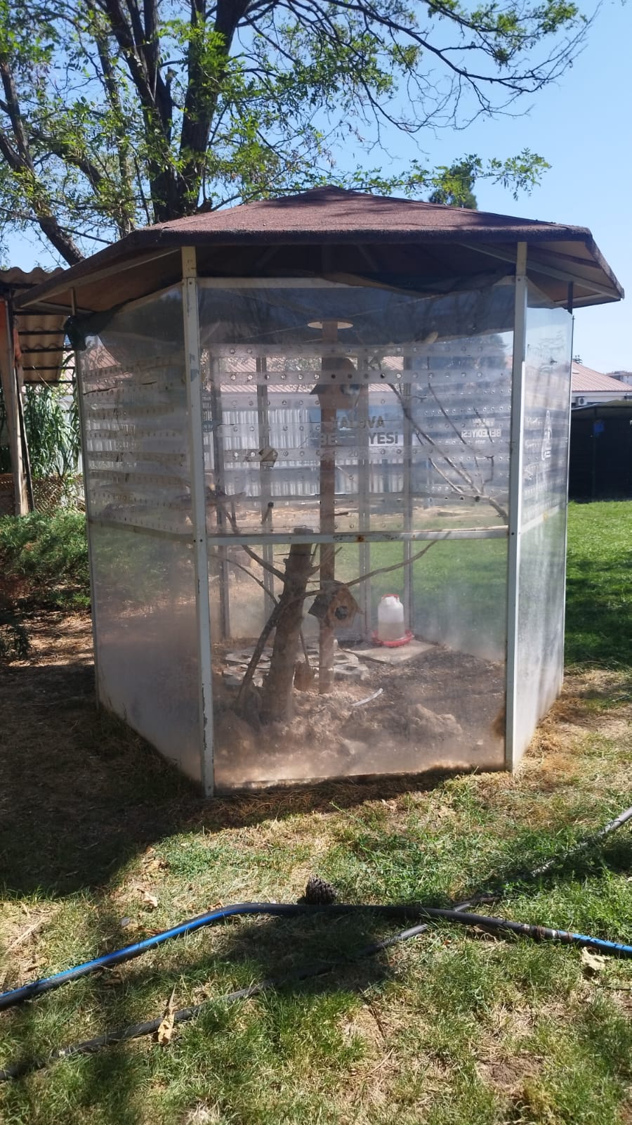 SOKAK HAYVANLARI REHABİLİTASYON MERKEZİ