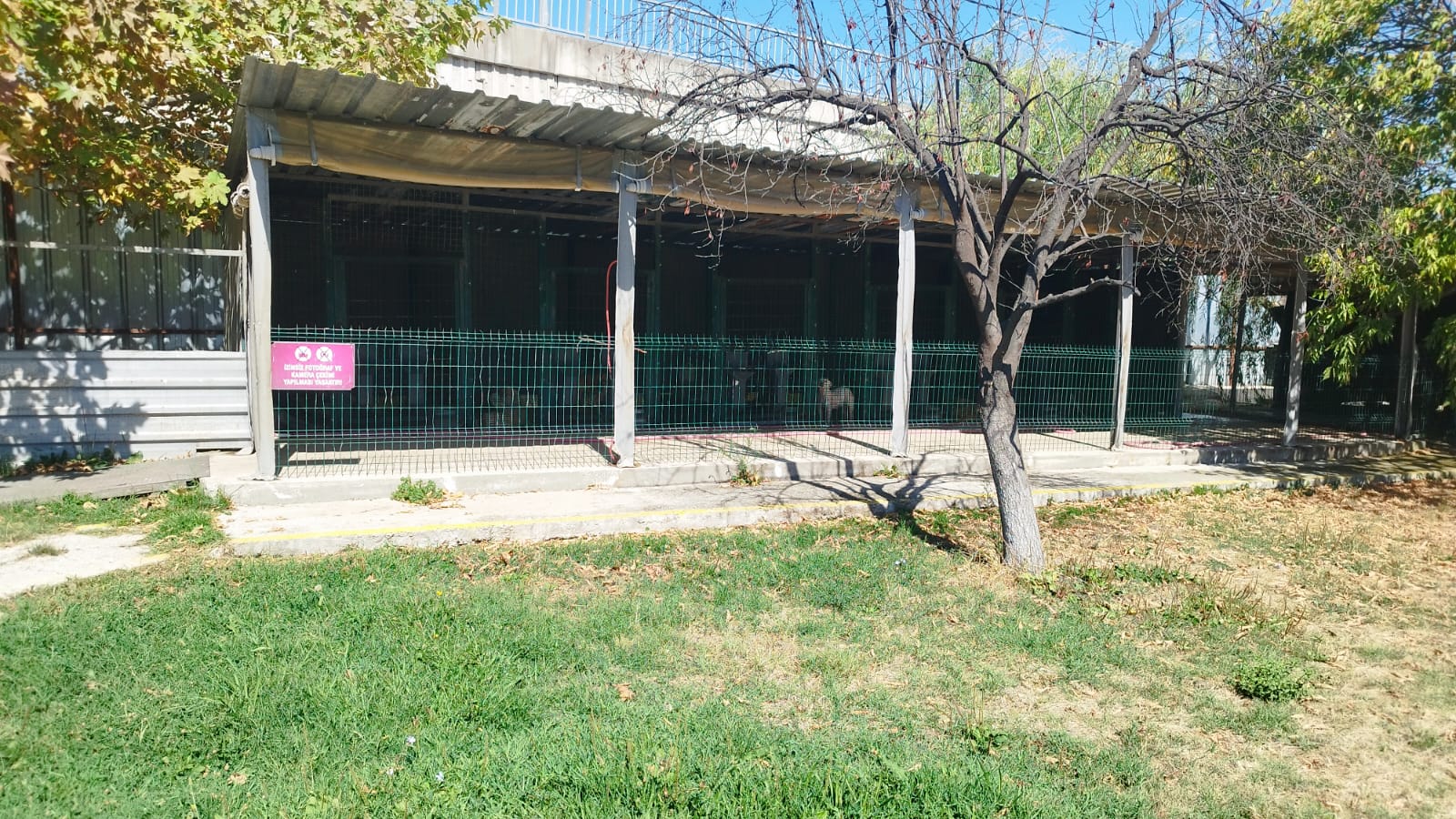 SOKAK HAYVANLARI REHABİLİTASYON MERKEZİ