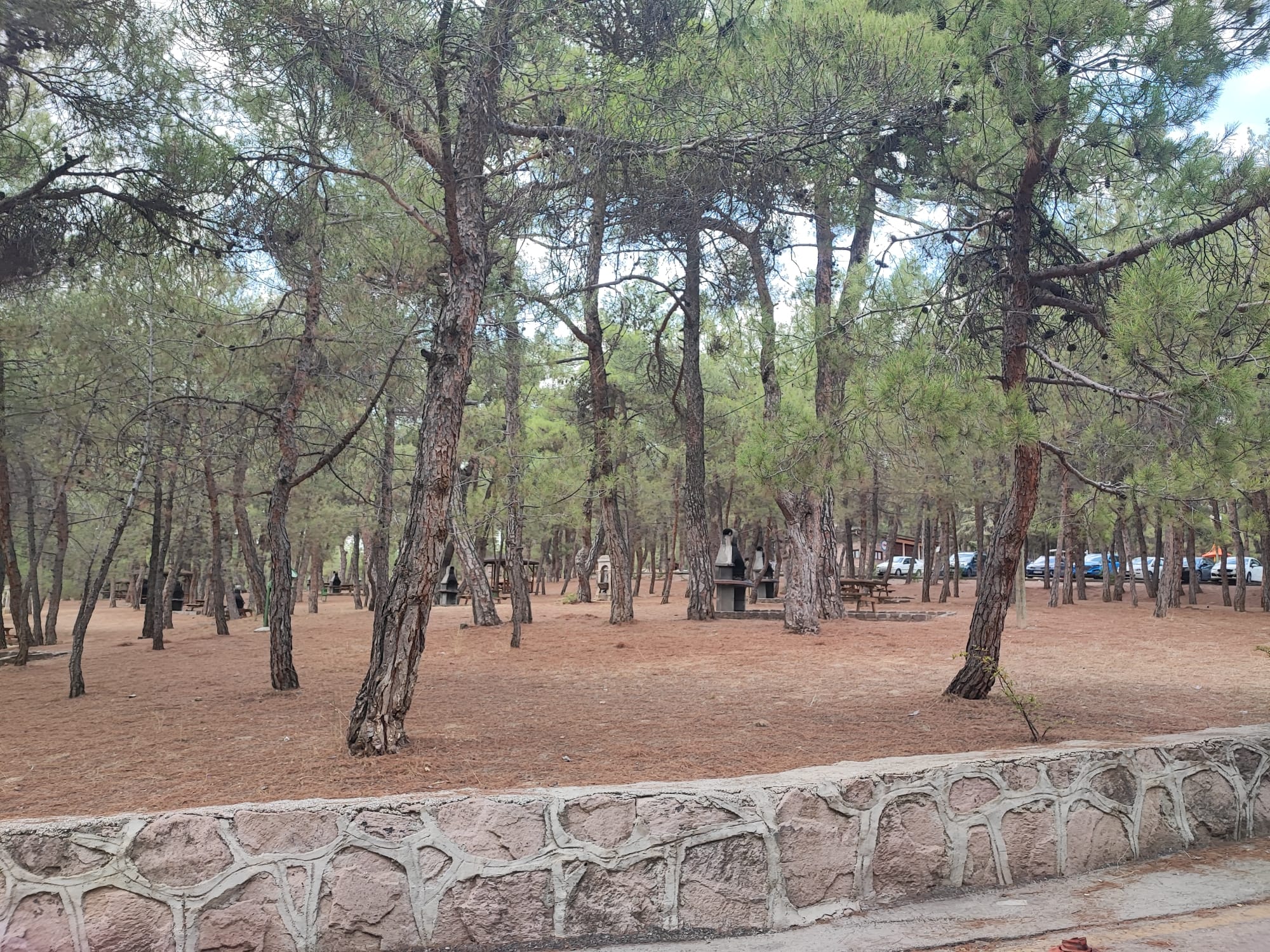 Akse Çamlığı Mesire Yeri