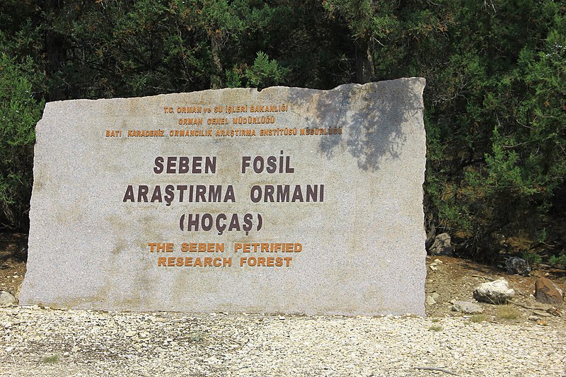 Seben Fosil  Araştırma Ormanı