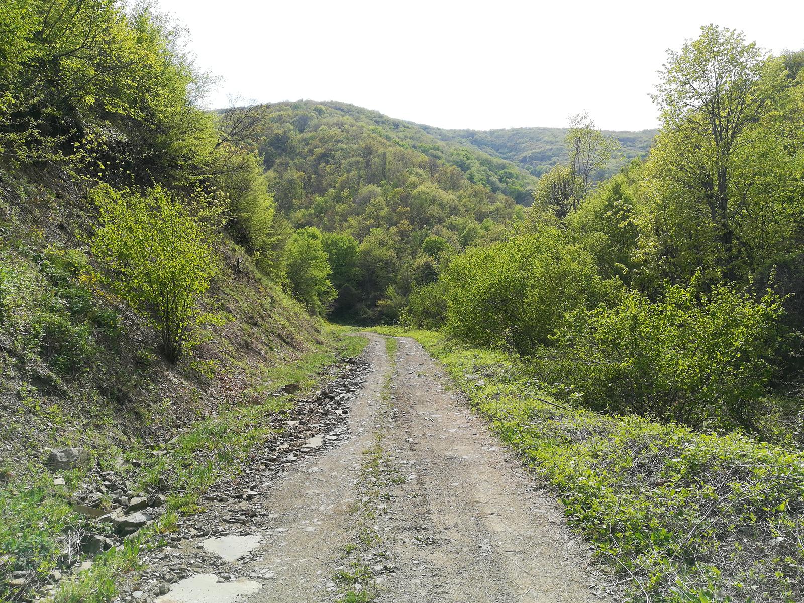 Süleymanpaşa Nişantepe Doğa Yürüyüşü (Trekking) Parkuru