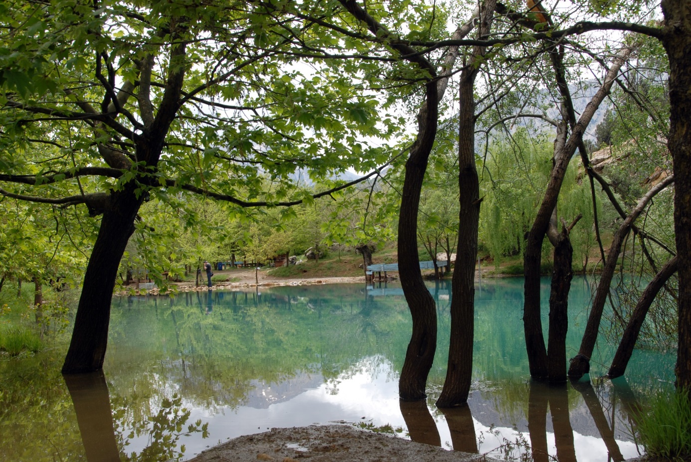 Yeşilgöz Doğal Tabiat Parkı