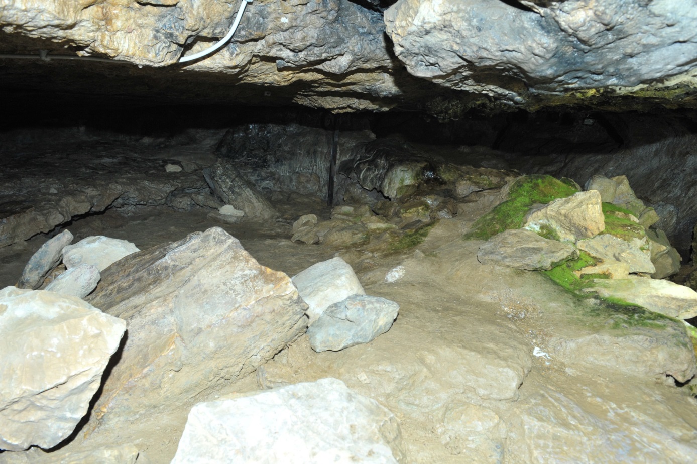 Eshab-ı Kehf Külliyesi