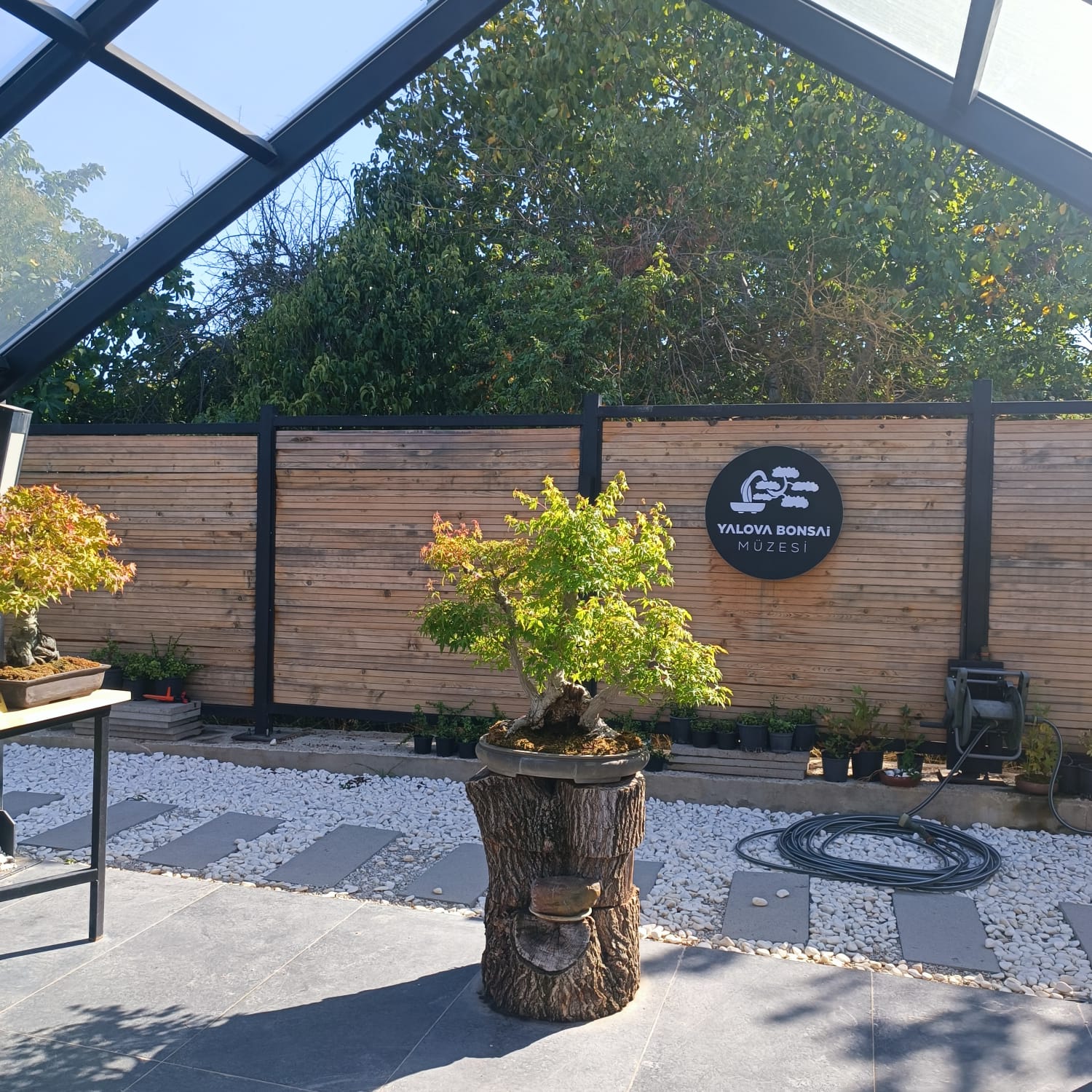 YALOVA BONSAİ MÜZESİ