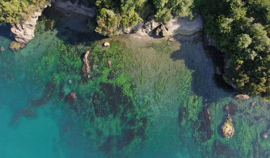 Konakönü Mahallesi Doğal Sit Alanı