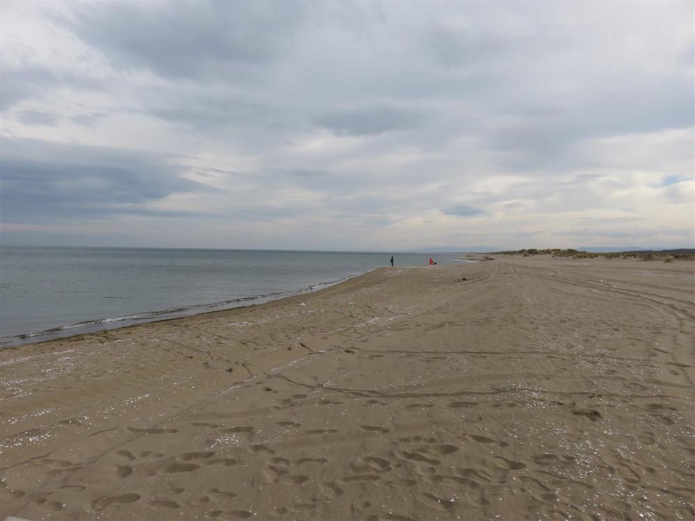 Kaynarca Karaboğaz Sahili