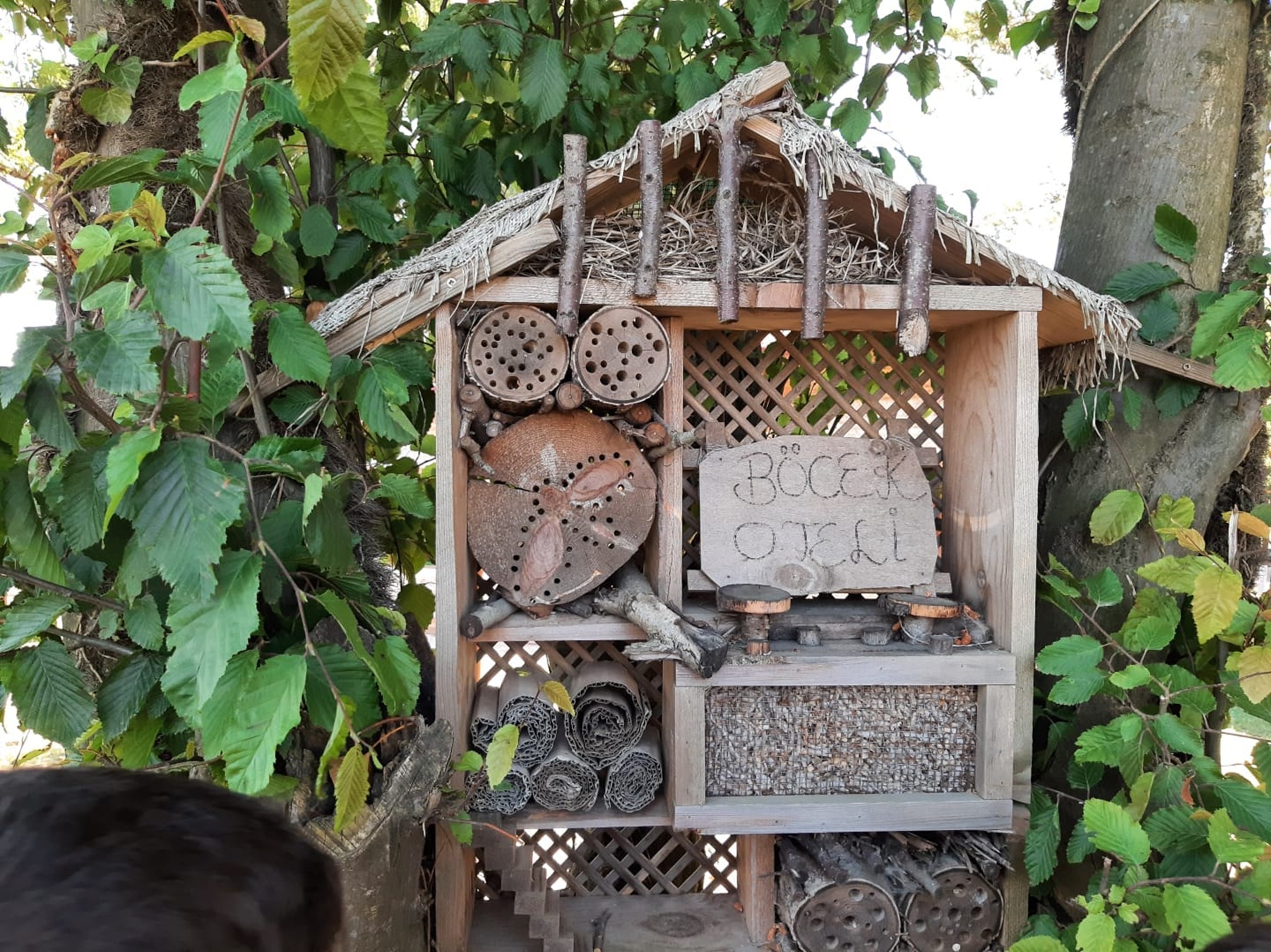 Canik Namiye Mümin Erol Doğa ve Fen Okulu