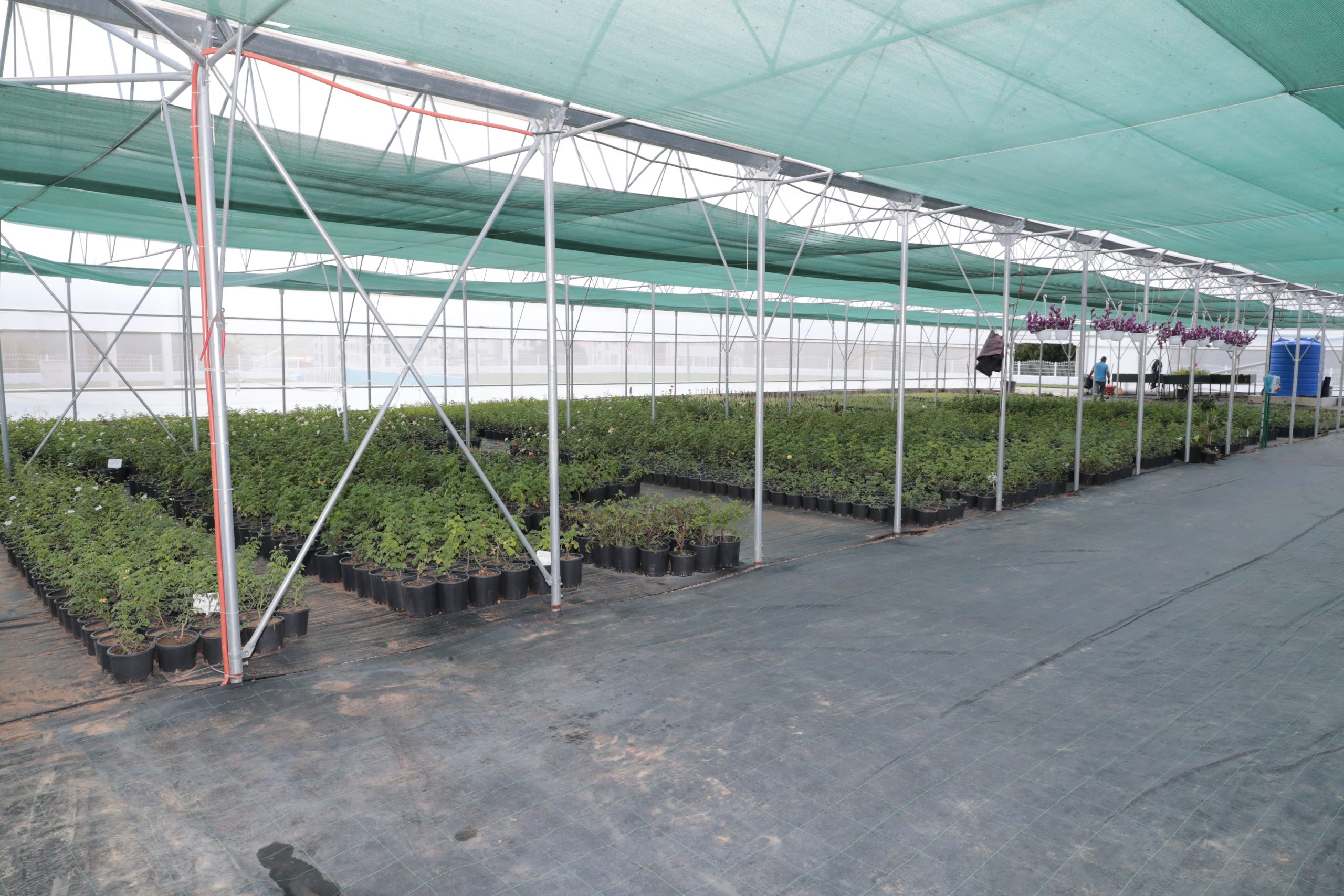 İZMİT BELEDİYESİ EKOLOJİK YAŞAM BAHÇESİ